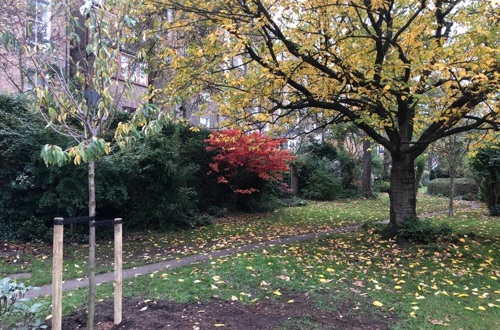 Tree update