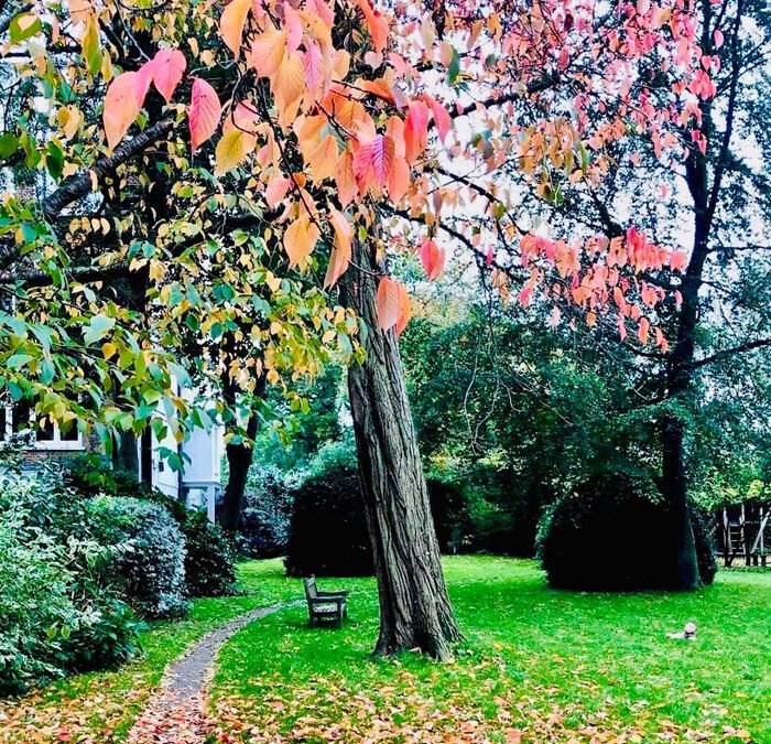 Autumn Newsletter Out Now!