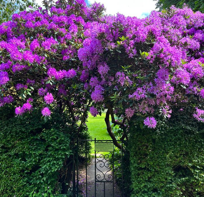 Spring Newsletter Out Now!