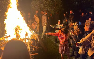 Guy Fawkes Night celebration, a grand success