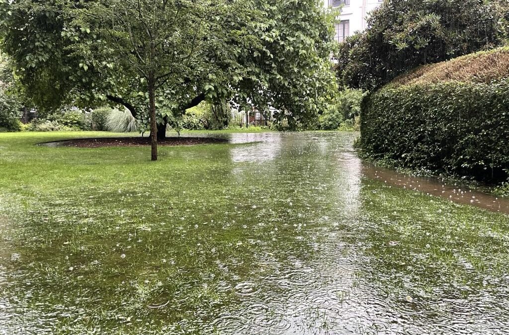 Flood Resilience Update, Autumn 2024
