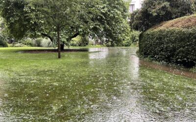 Flood Resilience Update, Autumn 2024