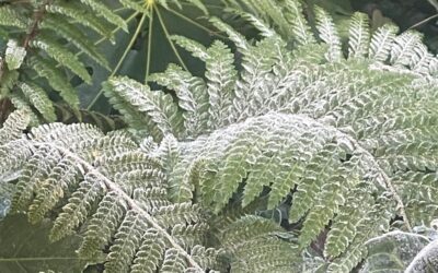 Winter Newsletter Out Now!